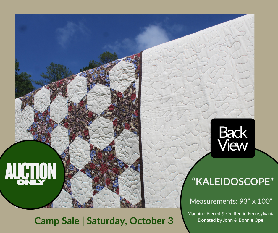 Quilts - Kaleidoscope2 (Back)
