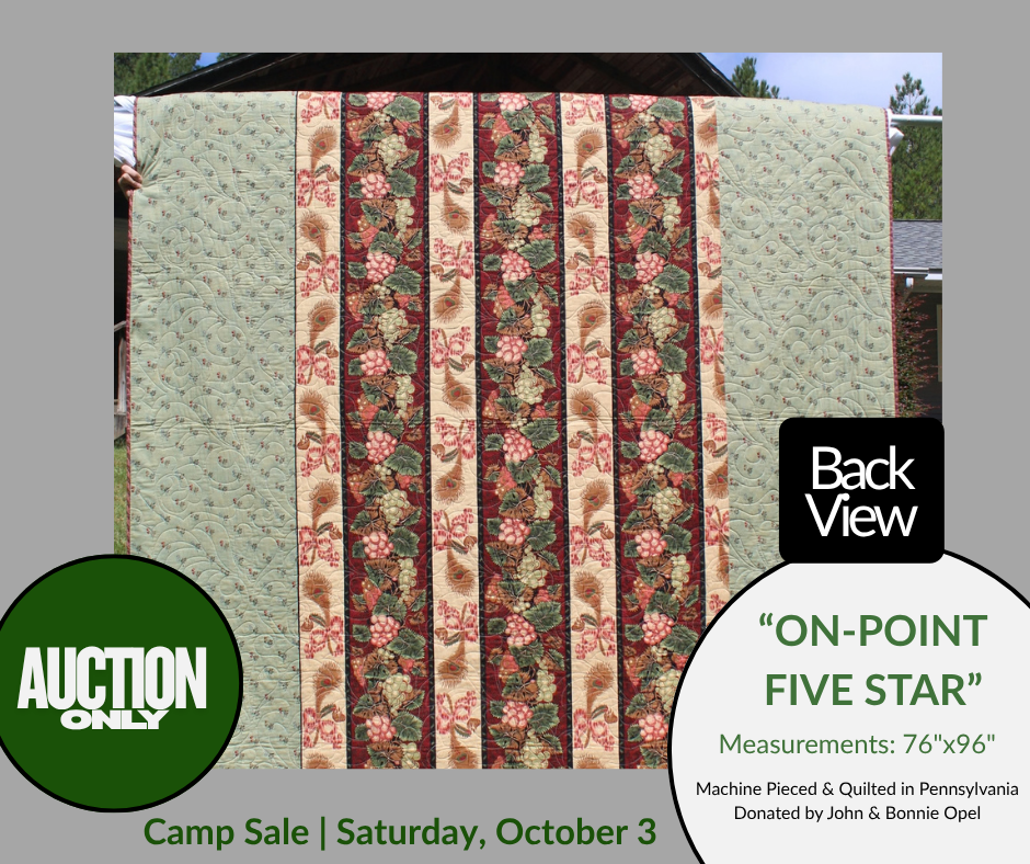 Quilts - On Point Five Star 2(back)