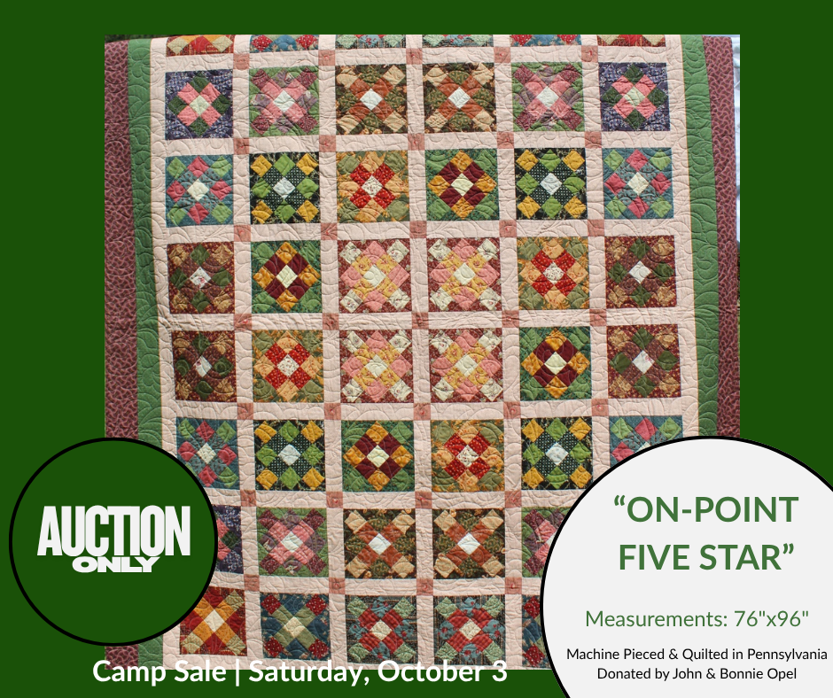 Quilts - On Point Five Star1